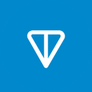 Toncoin icon logo
